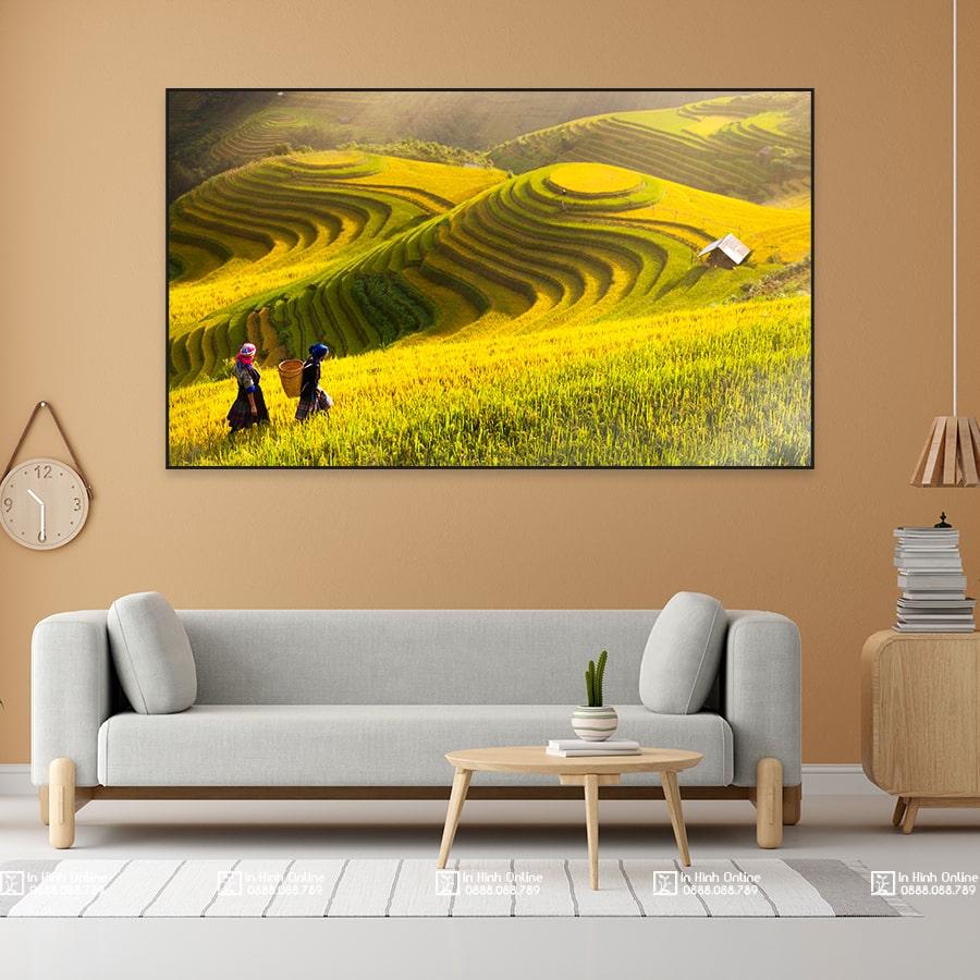 Tranh treo tường phong cảnh ruộng bậc thang mùa lúa chín vàng