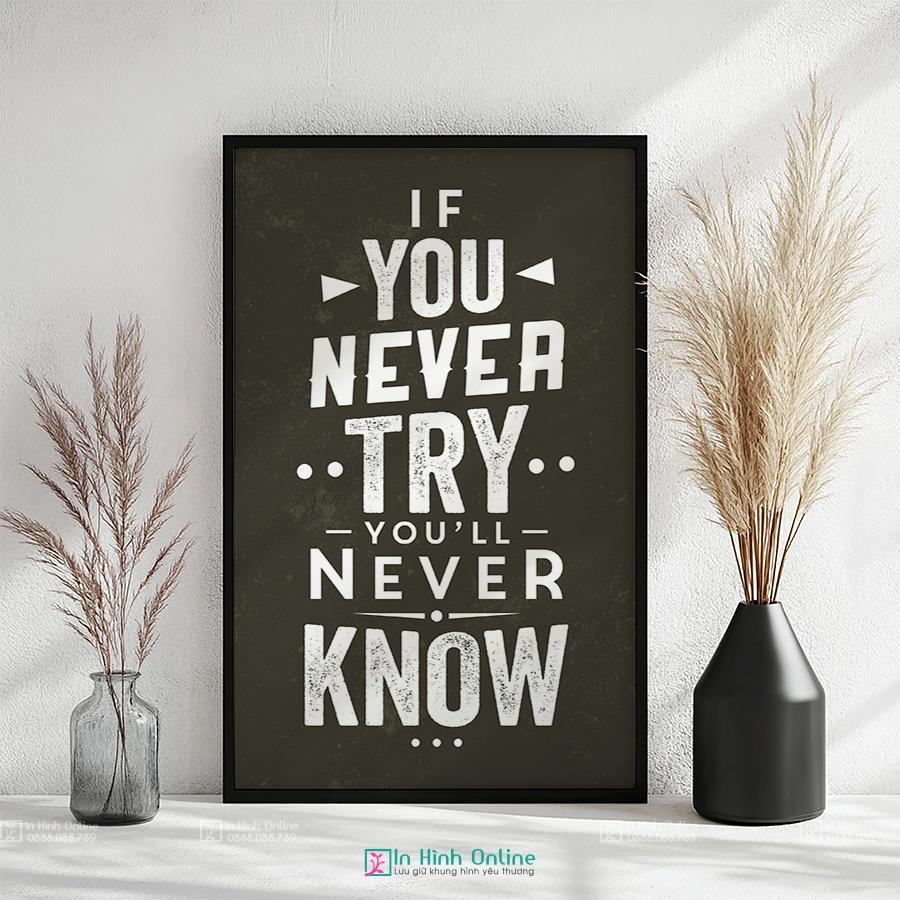 Tranh động lực tiếng Anh: If you never try you'll never know